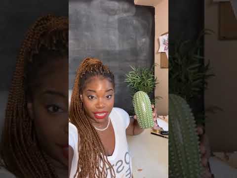 Thumbnail for Mila Thee Hostkeyper