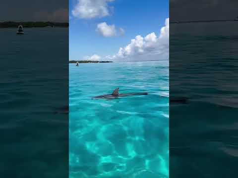 This isn't just a smart place to visit, it's a dream location to own a vacation home.#destin