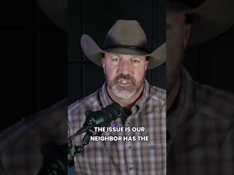 Short term rentals= the experience business