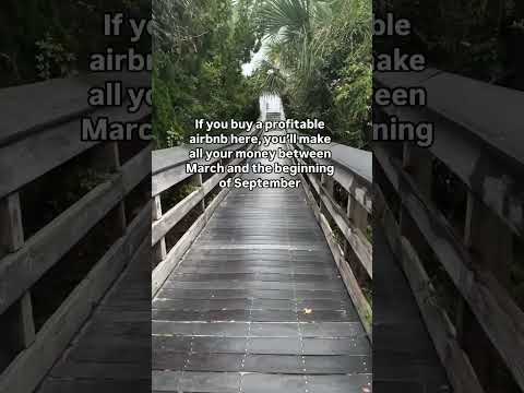 Thumbnail for The Short Term Shop